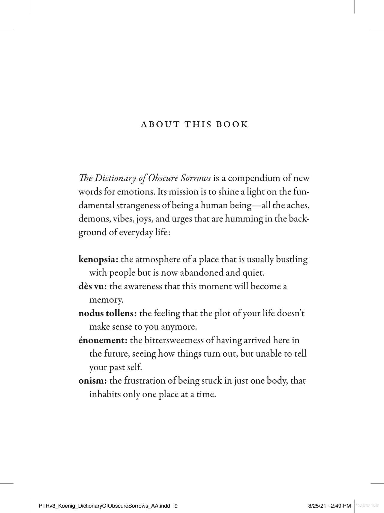Main idea reference - The Dictionary of Obscure Sorrows Book by John Koenig