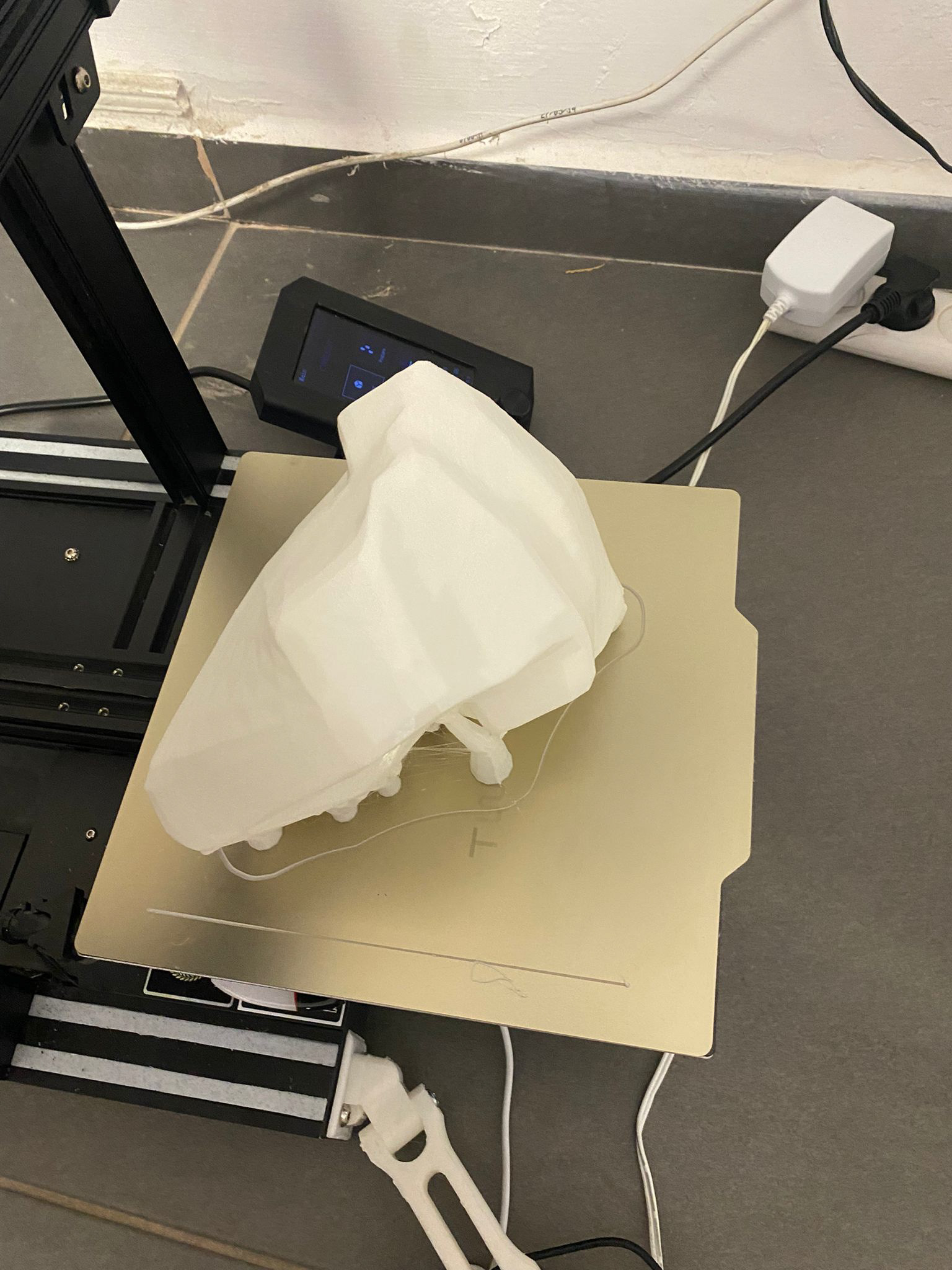 First 3D print