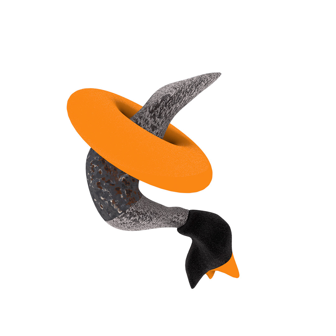 Second stage: 3D model and color exploration