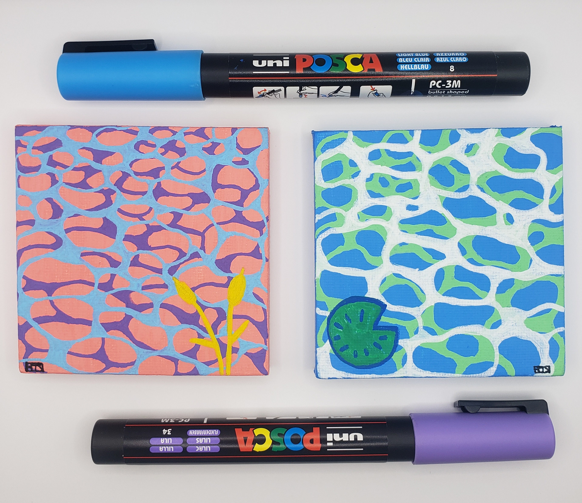 Posca Ponds, 2020