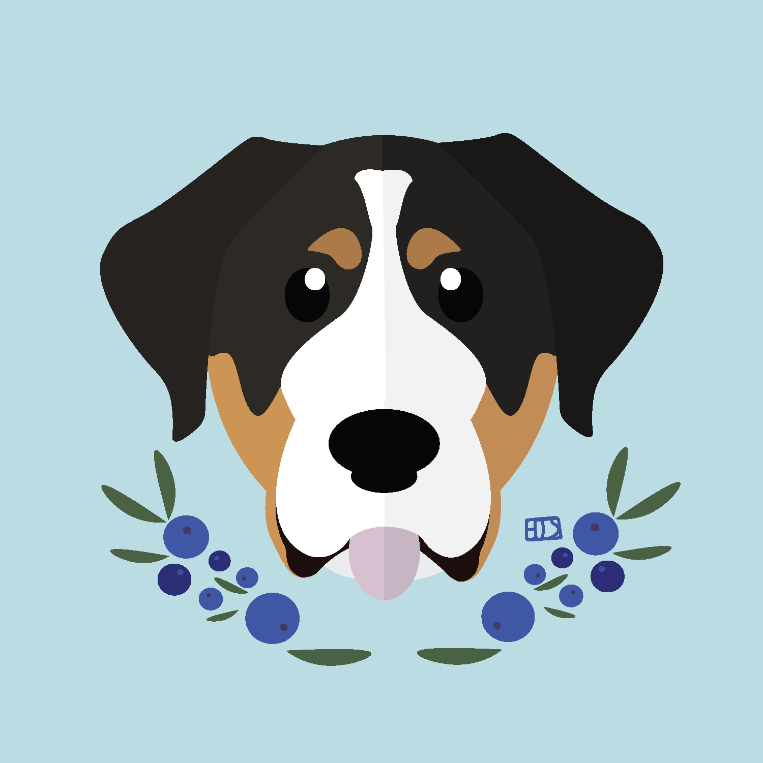 Greater Swiss Mountain Dog, 2023