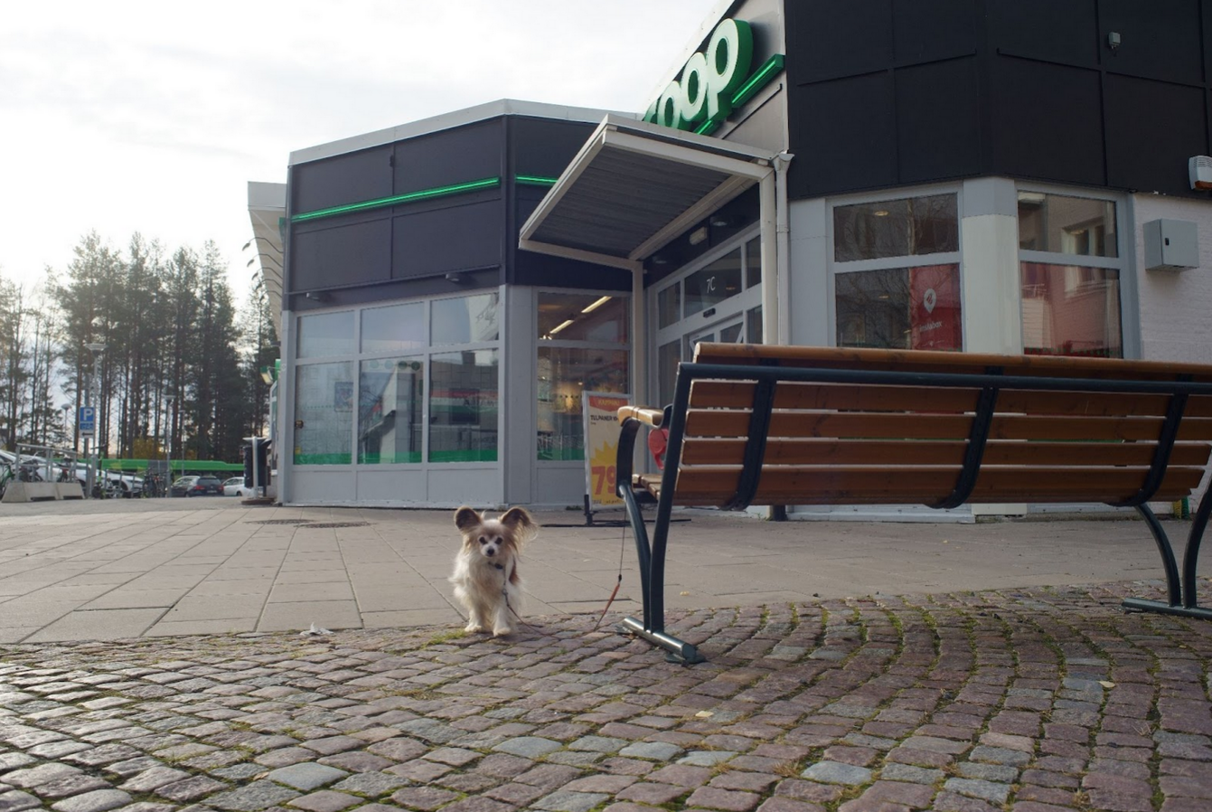 Benches 3 & 4 are a popular place to tie up your dog.