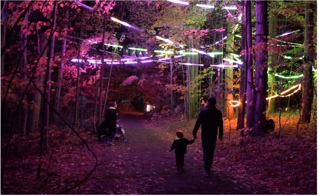 Glenlore Trail is creatively lit as a public art exhibit