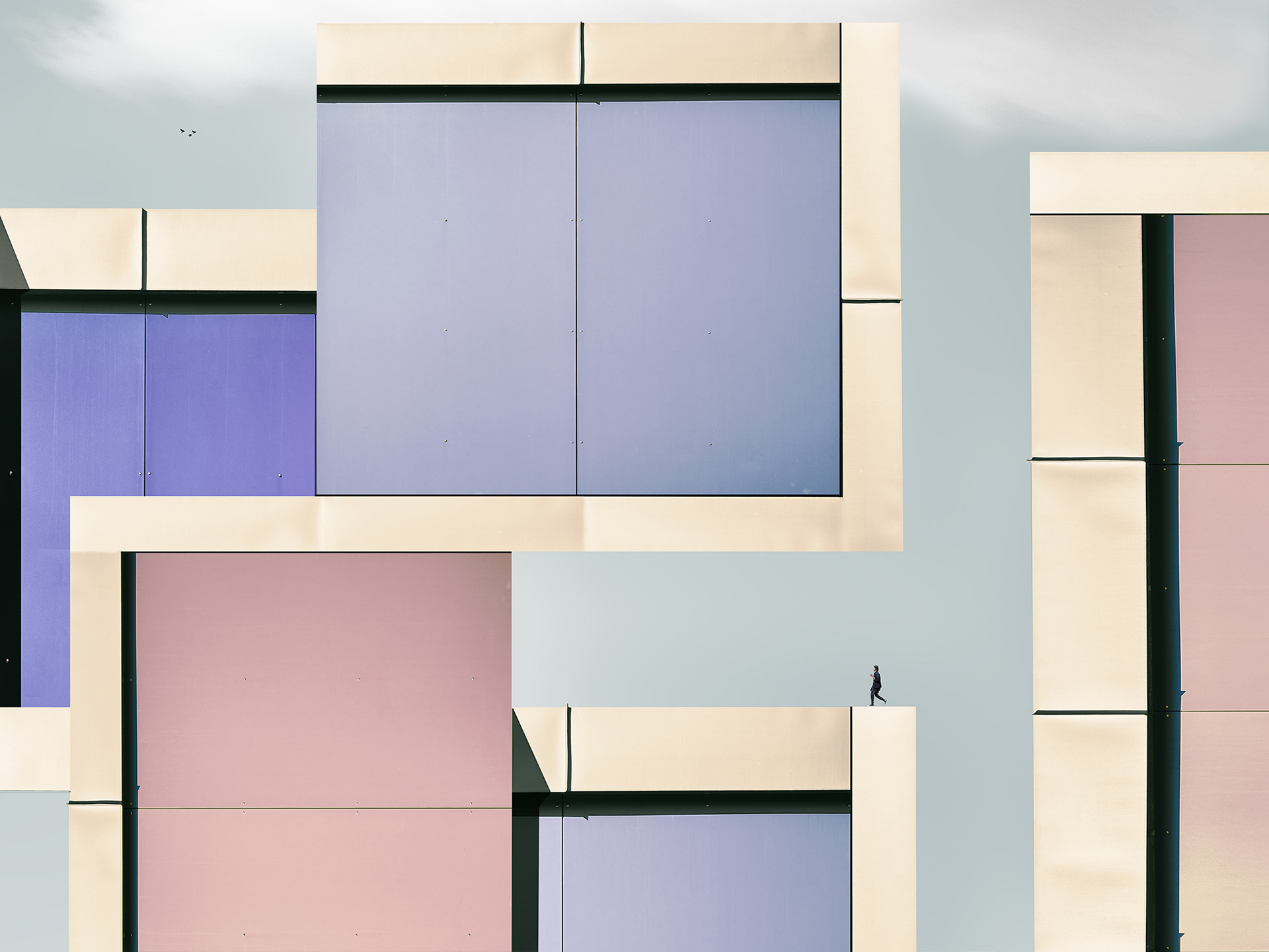 01 WALKER - COLORFUL 2024