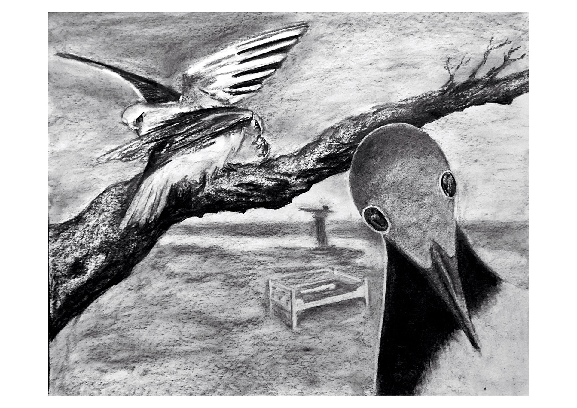 fictief landschap | 2023 | houtskool op papier | 70 x 80 cm