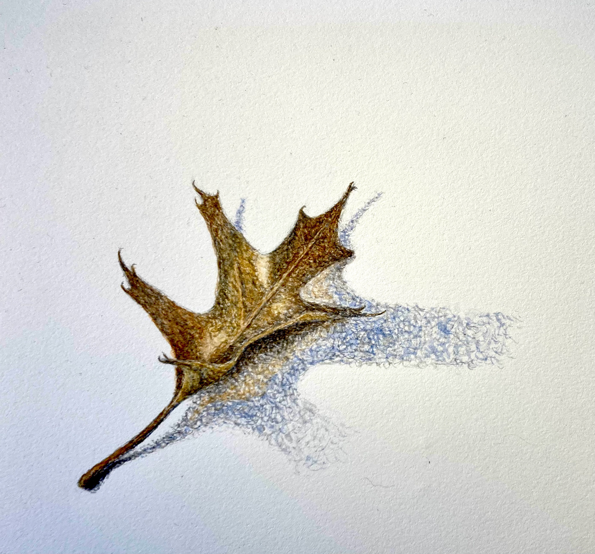 herfstblad | 2023 | aquarel op papier | 10 x 15