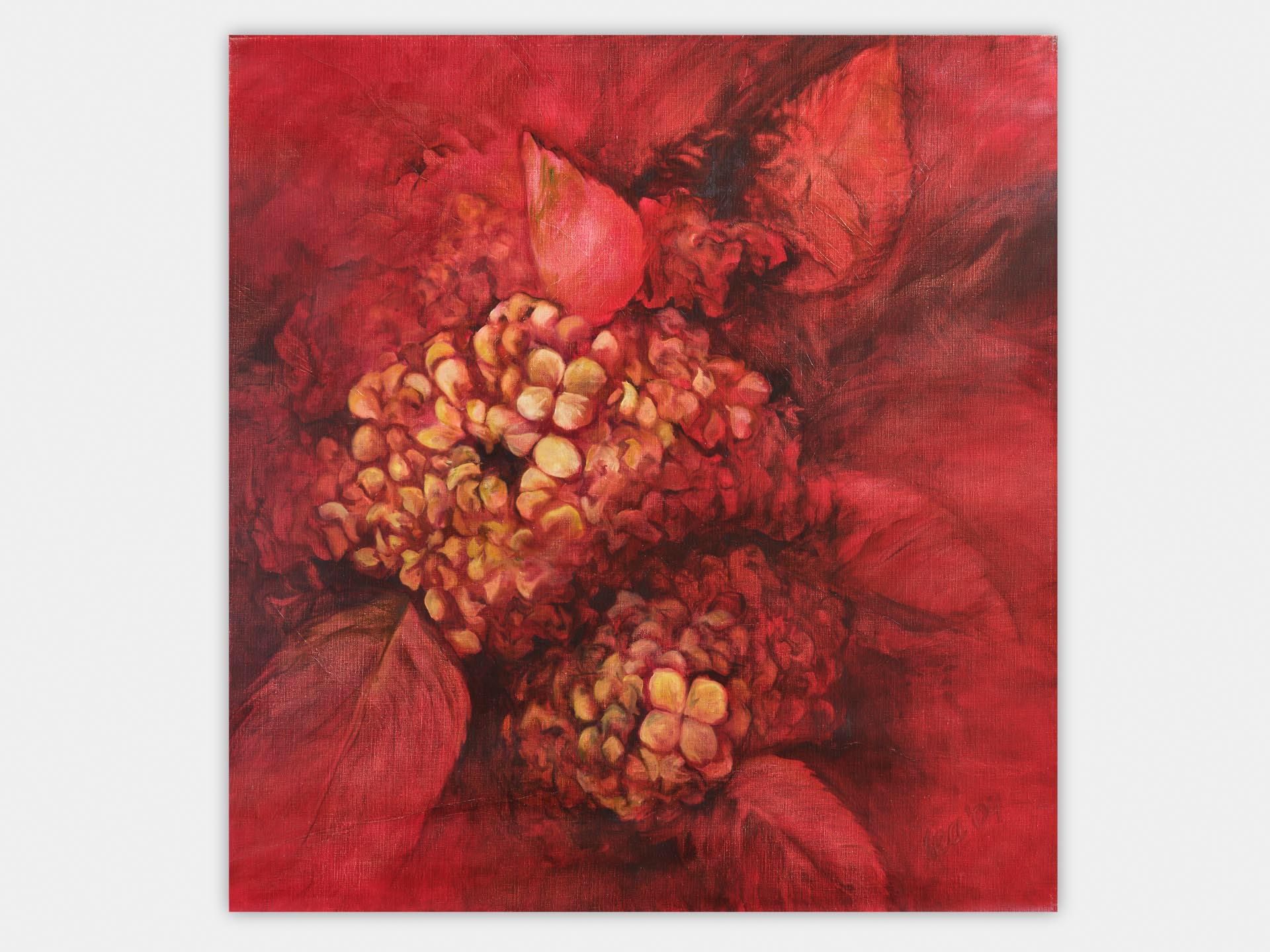 Hortensia 95x100 cm Oil on Canvas