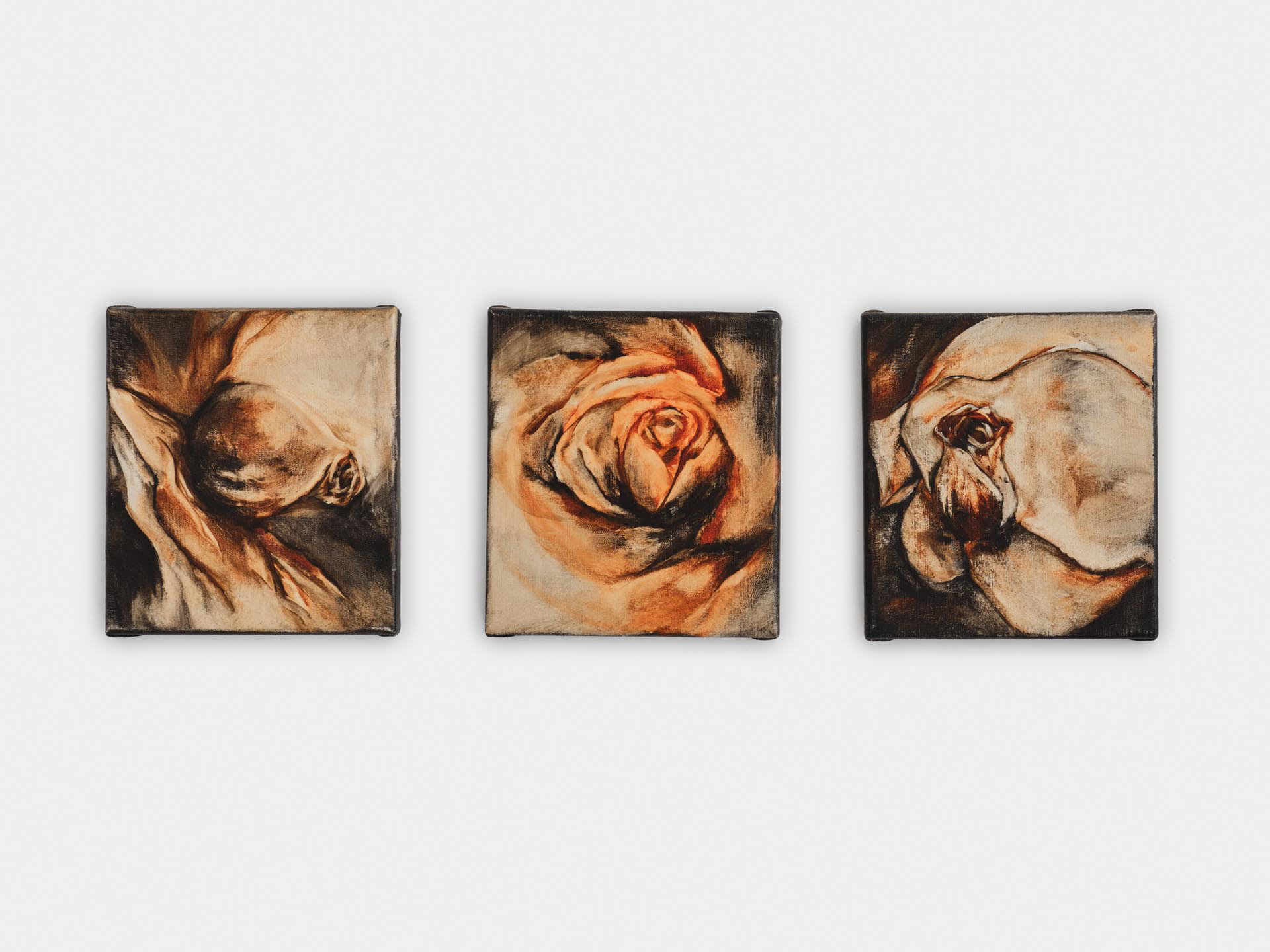 Black Roses 3x 18x20 cm Oil on Canvas
