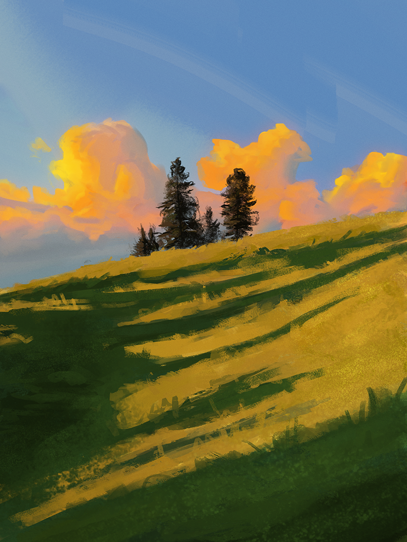 Study
