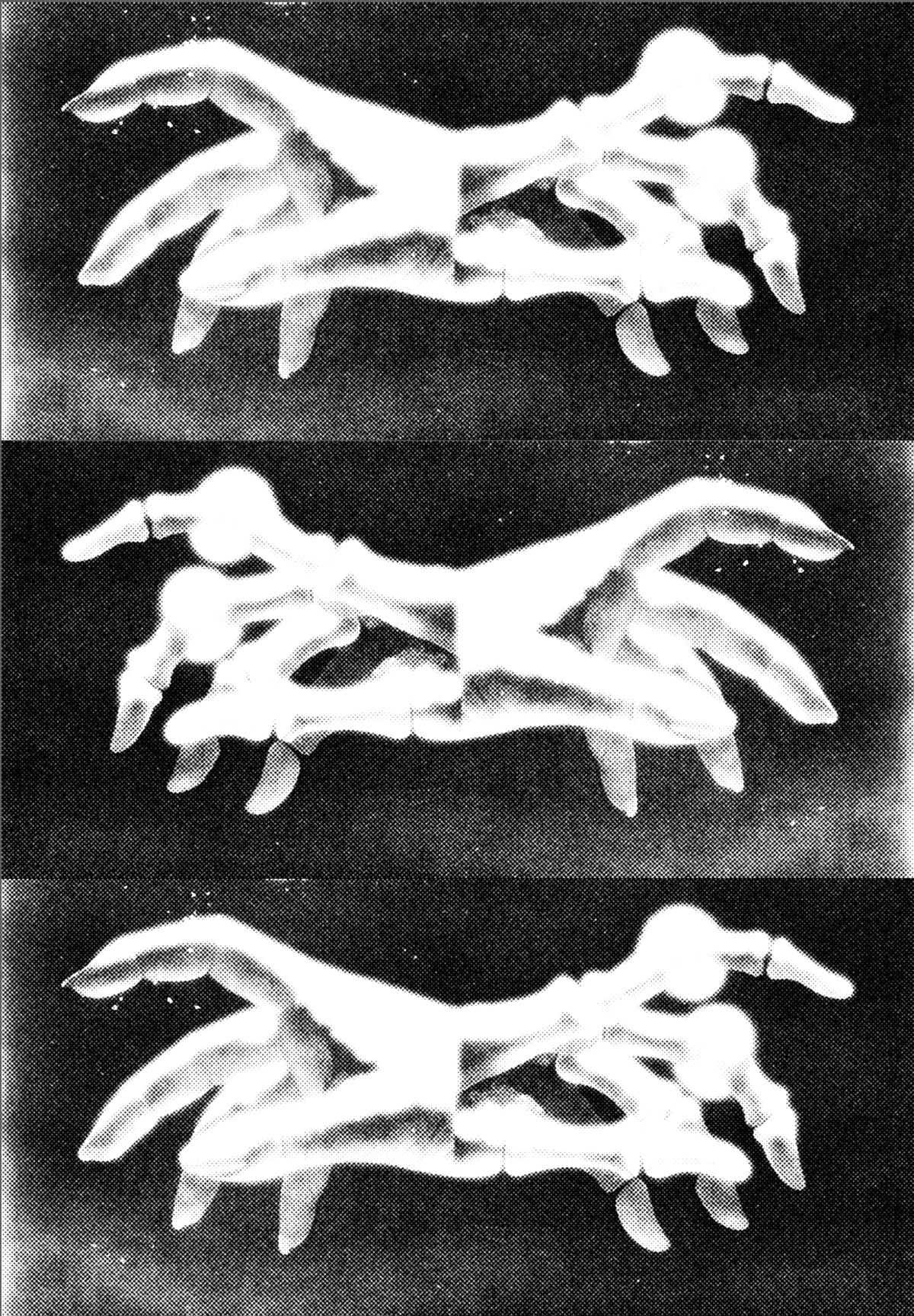Photomontage 3