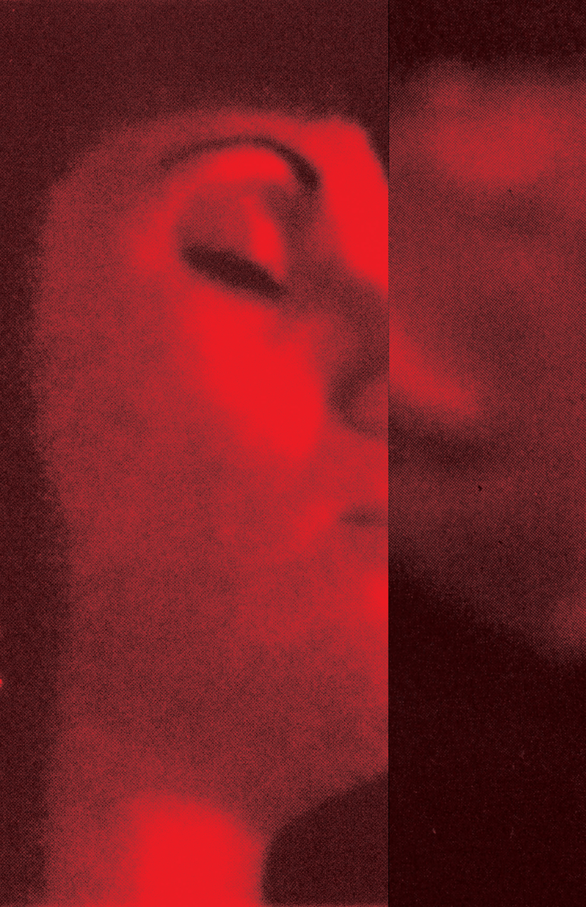 Photomontage 2