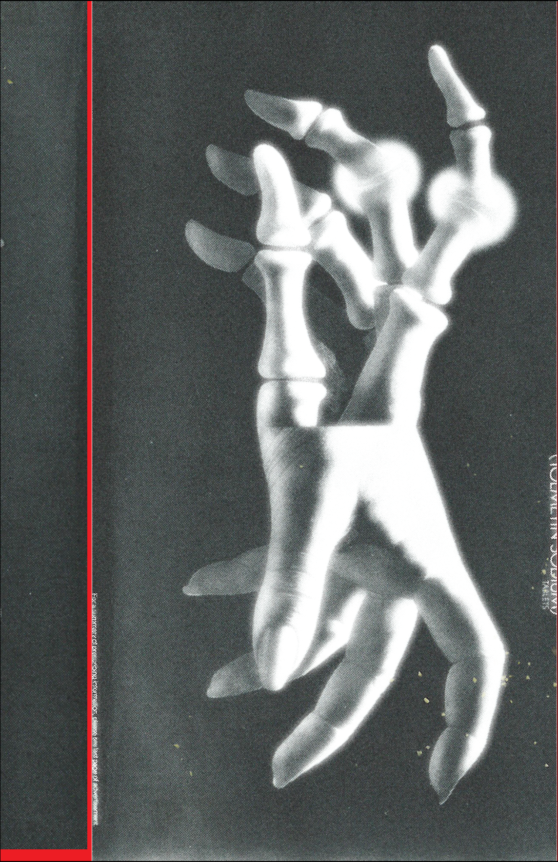 Photomontage 1