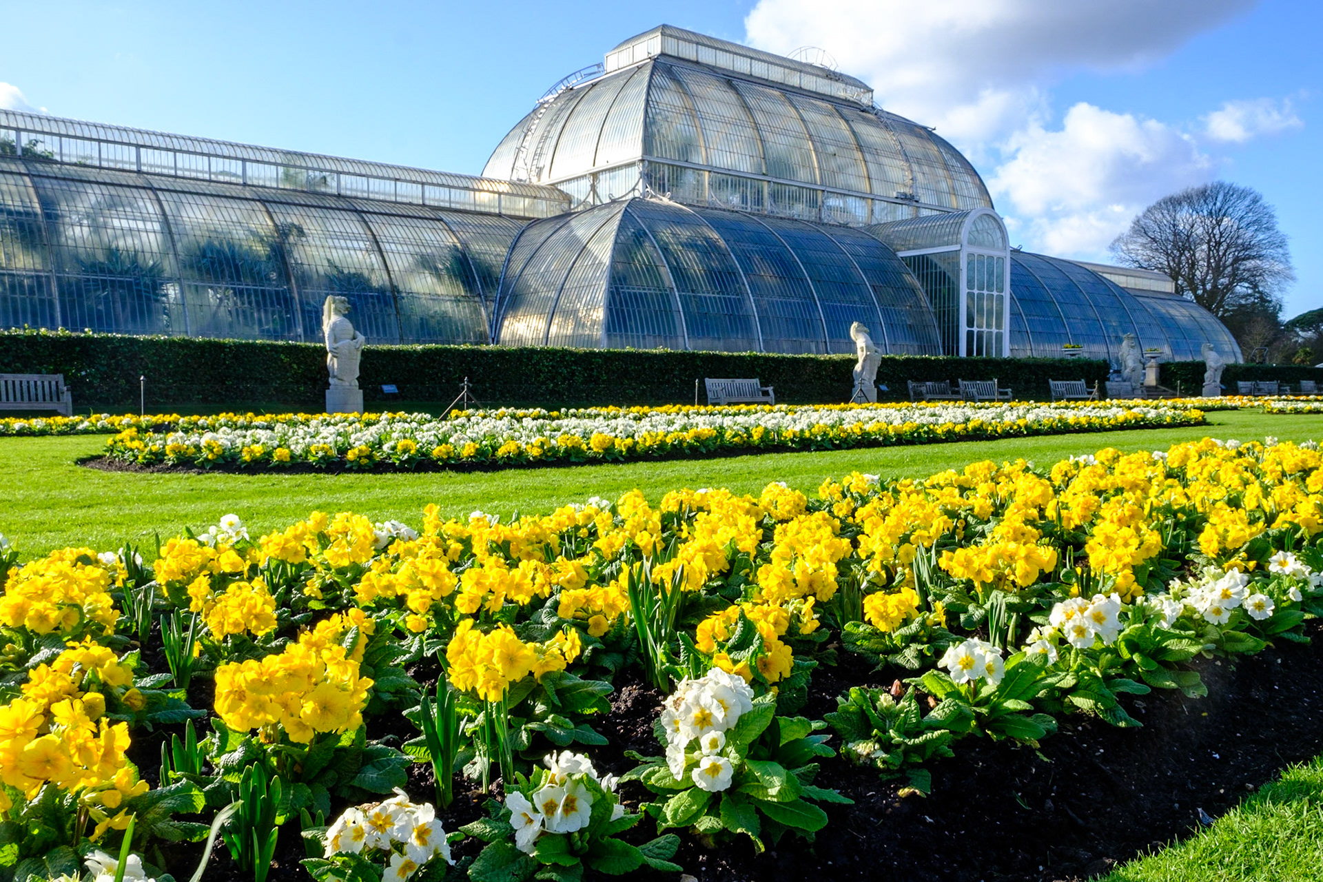 Spring colours in front of the Palm House