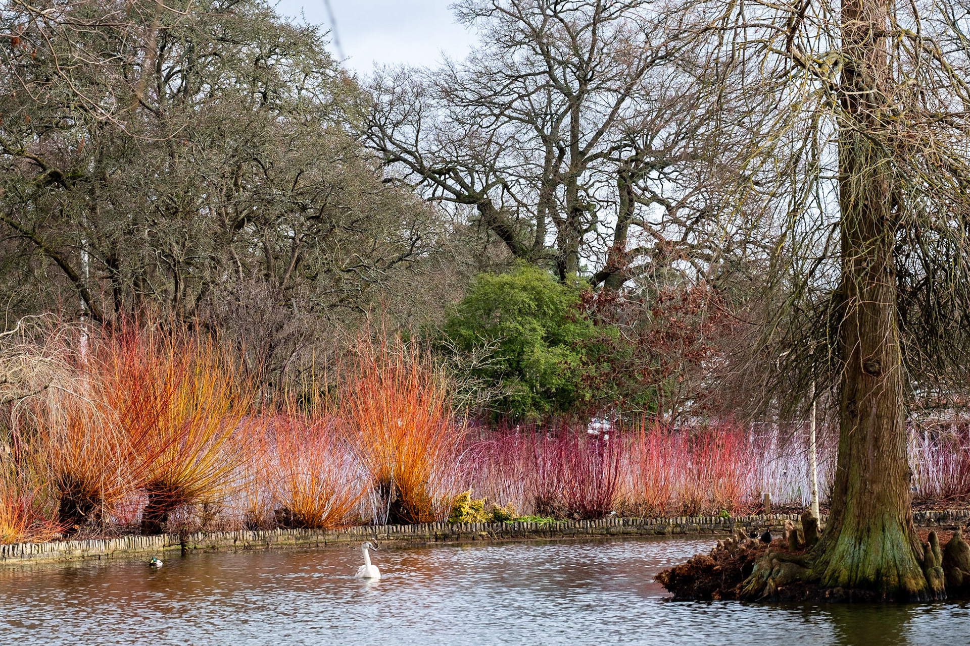 Colour by the lakeshore
