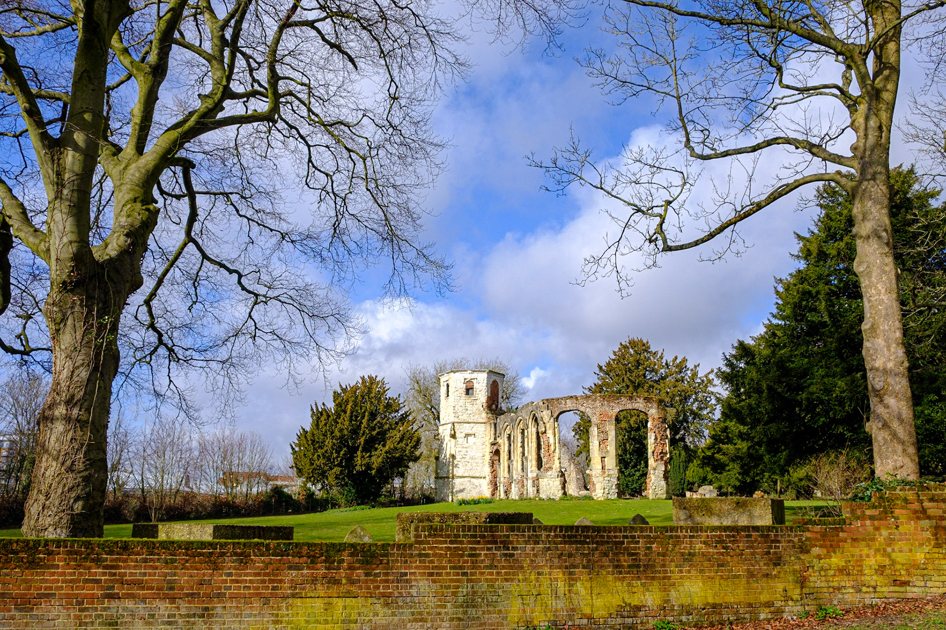 THe ruins from the garden