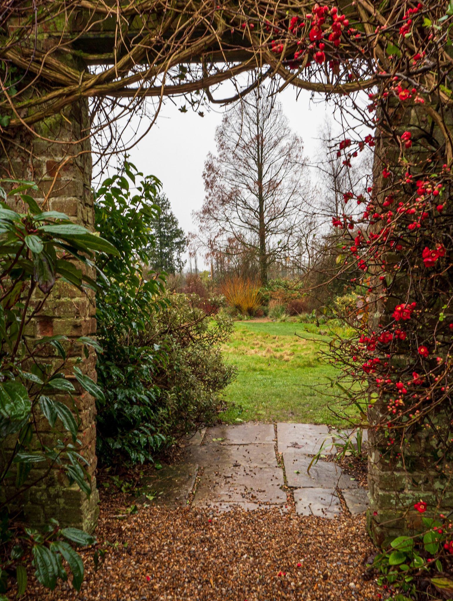 View from the walled garden