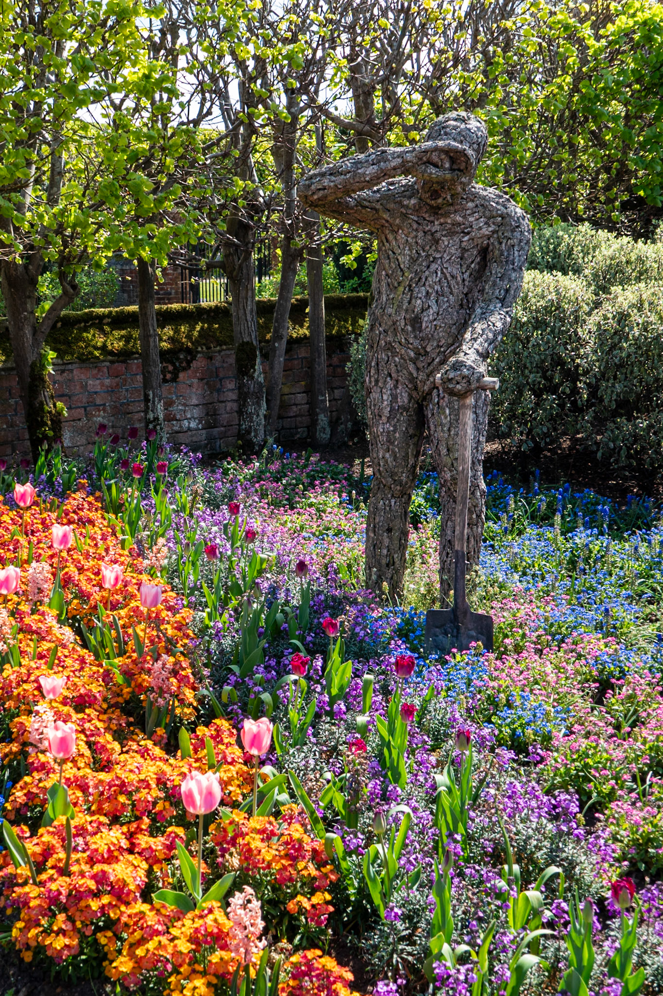 Spring flowers in the gardens of Hampton Court Palace