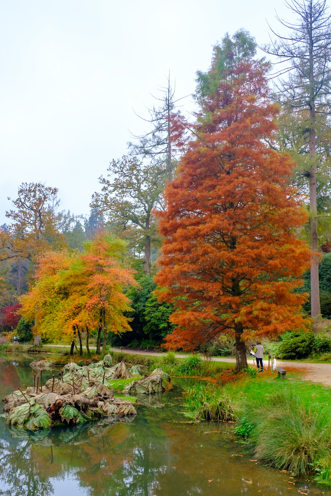 Artist amid the colours