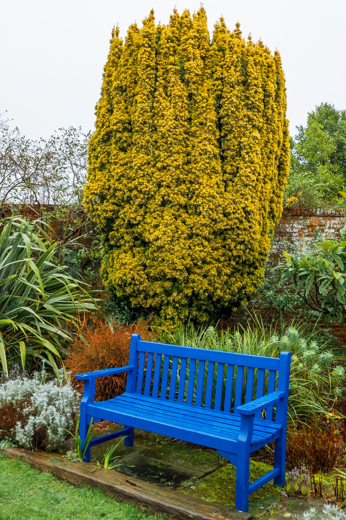Contrasting colours