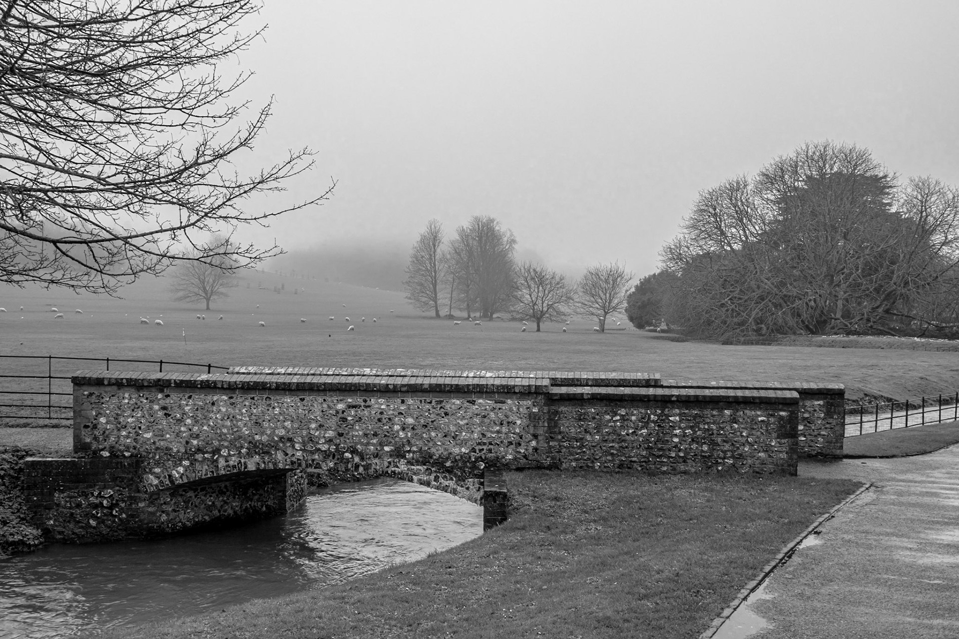 Bridge by the misty meadow