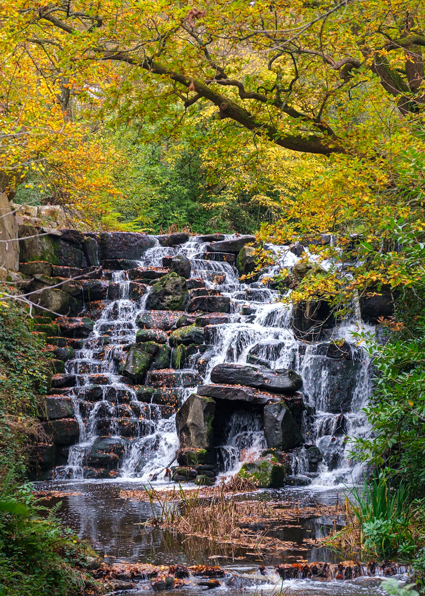 The cascade at Virginia Water