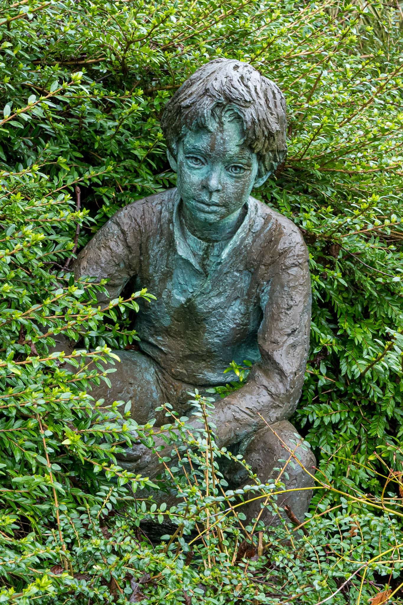 Boy in a bush