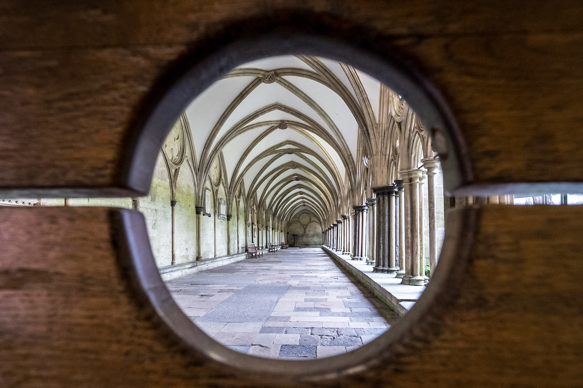The cloisters
