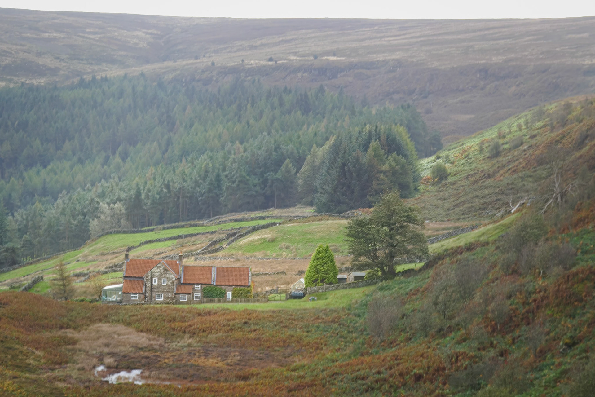 Lonely moorland farm