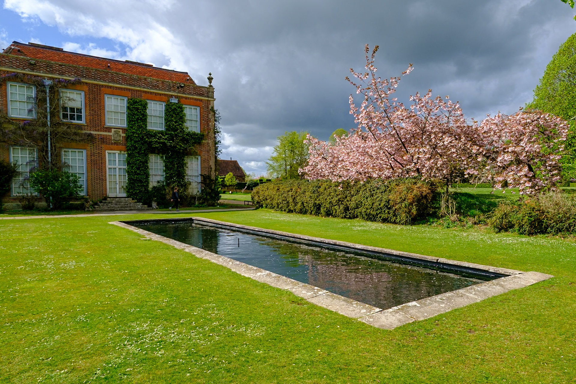 Cherry blossom by Hinton Ampner house
