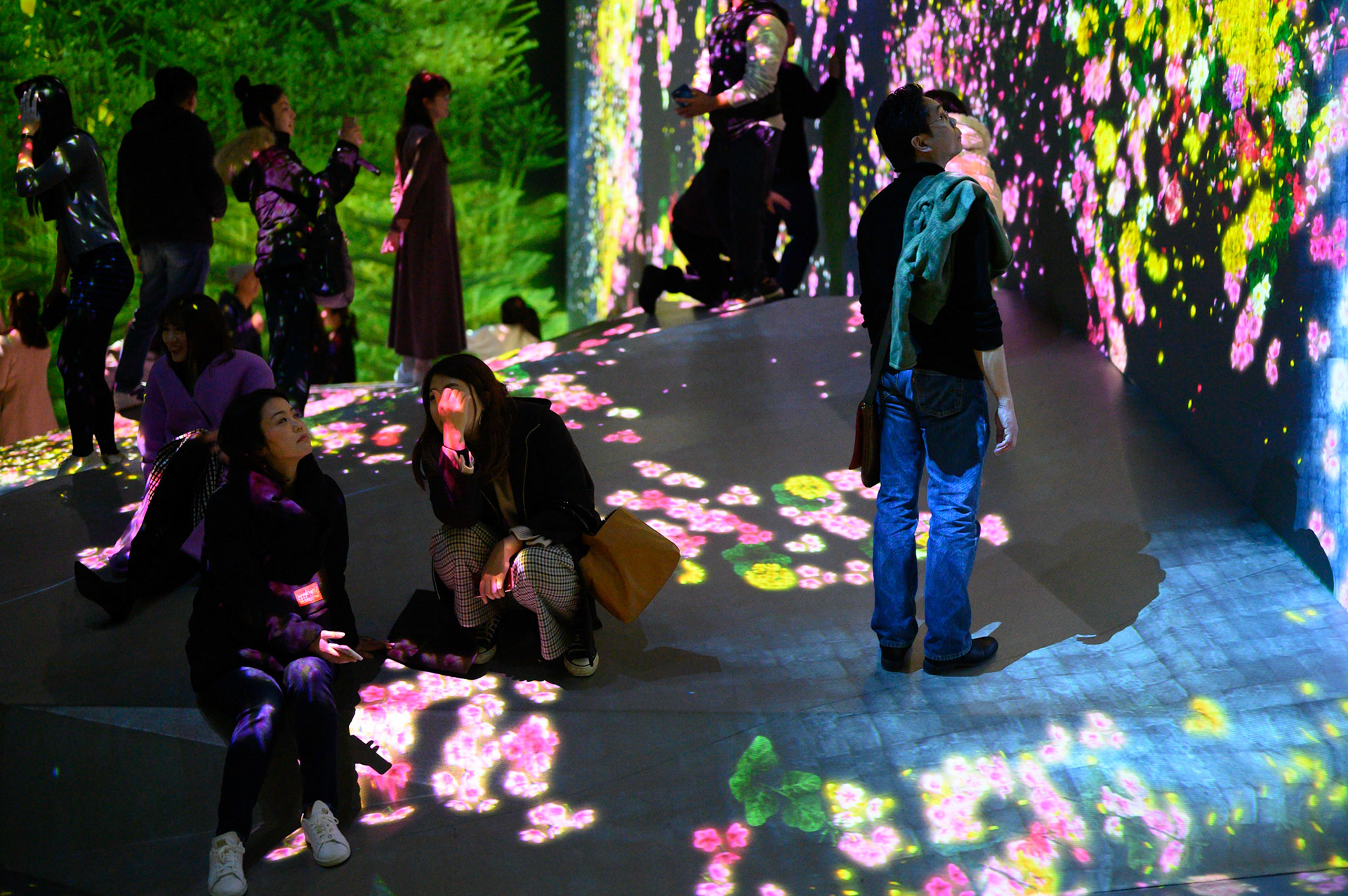 teamLab Borderless Exhibit, Tokyo, Japan