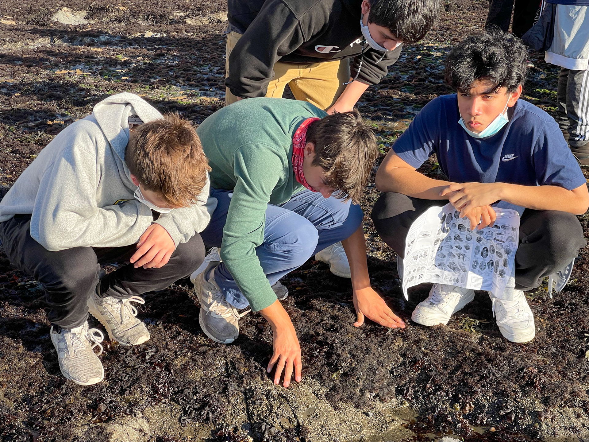 Intertidal Zone