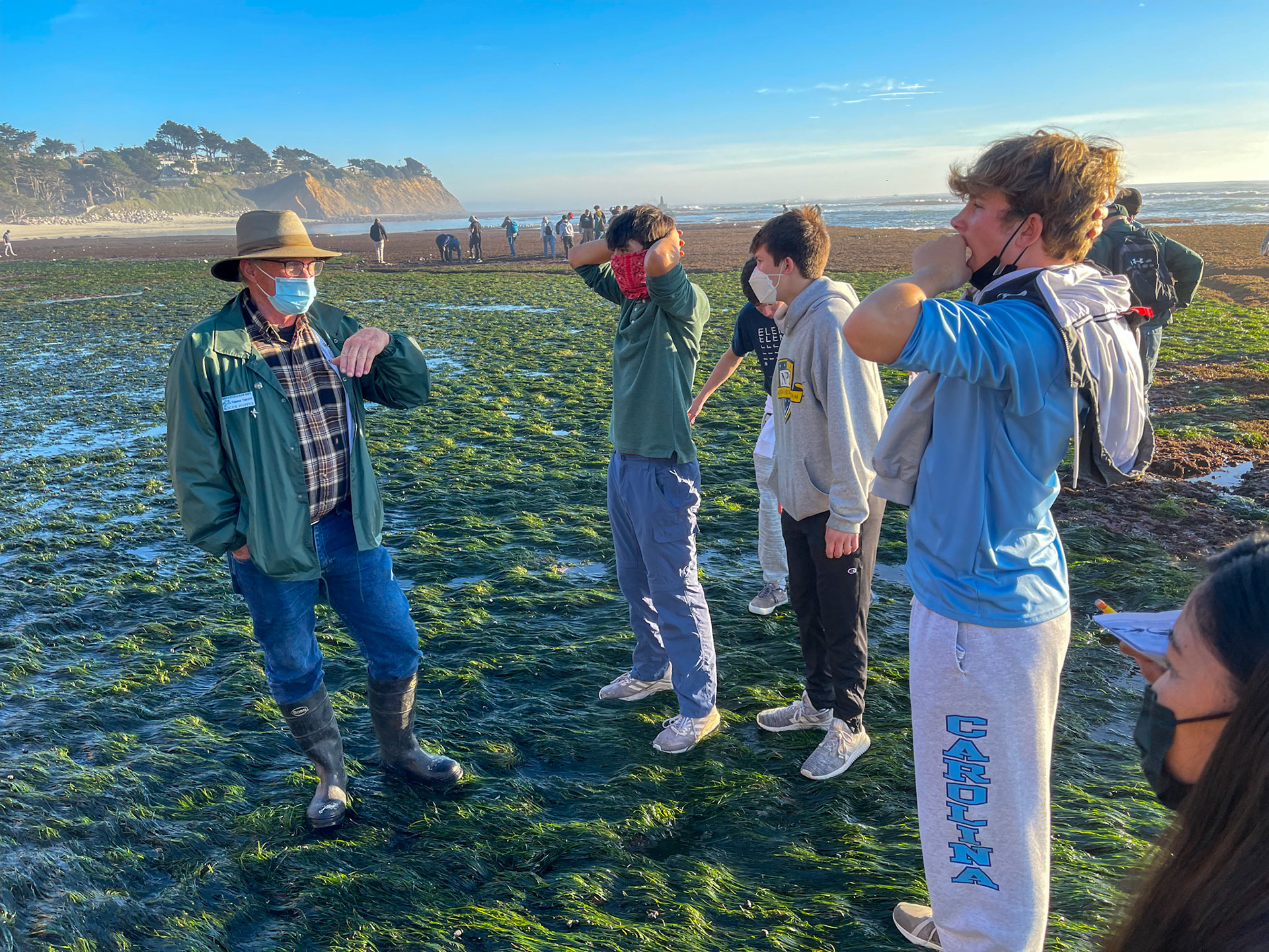 Sea Grass