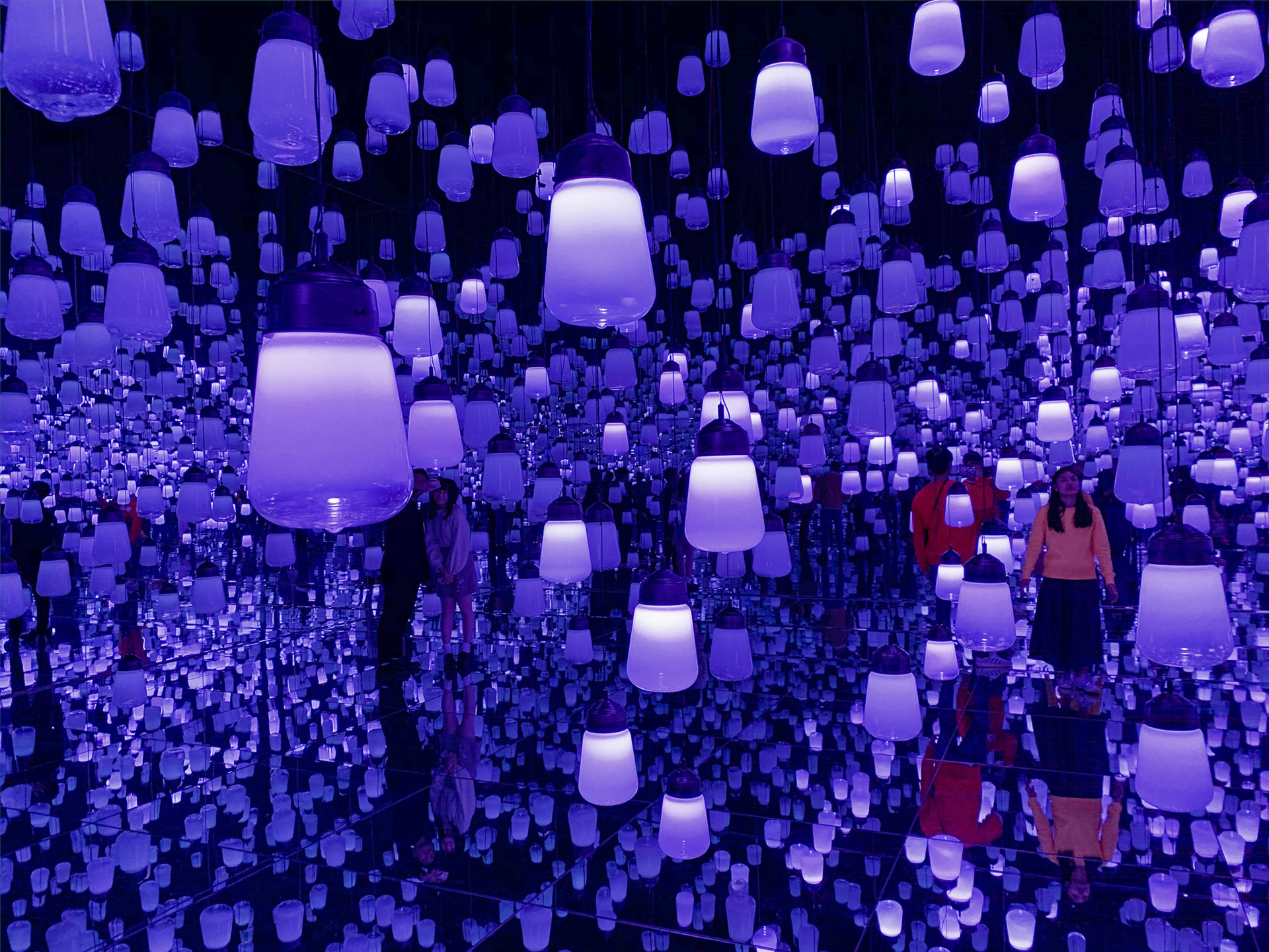 teamLab Borderless Exhibit, Tokyo