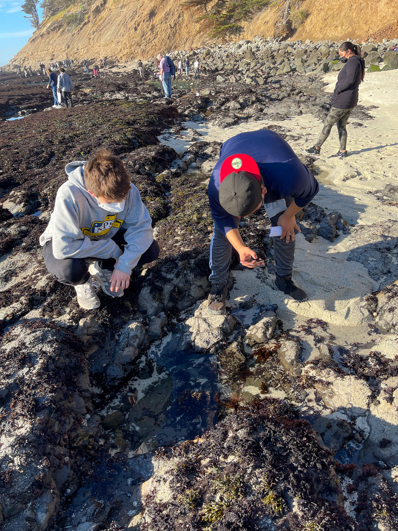 Intertidal Zone