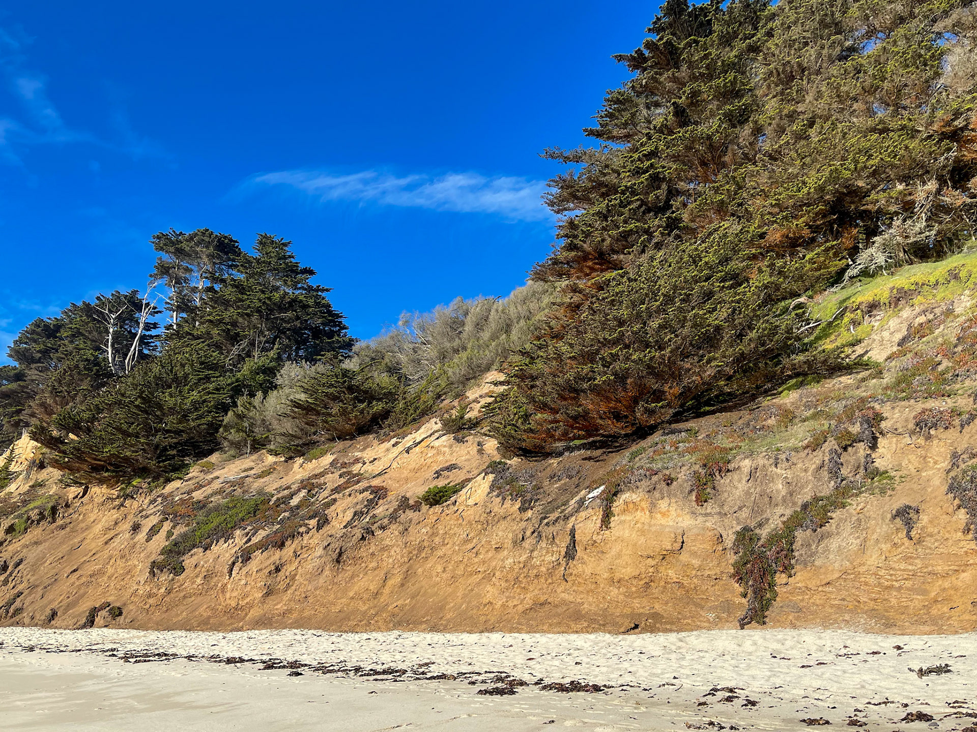 Moss Beach