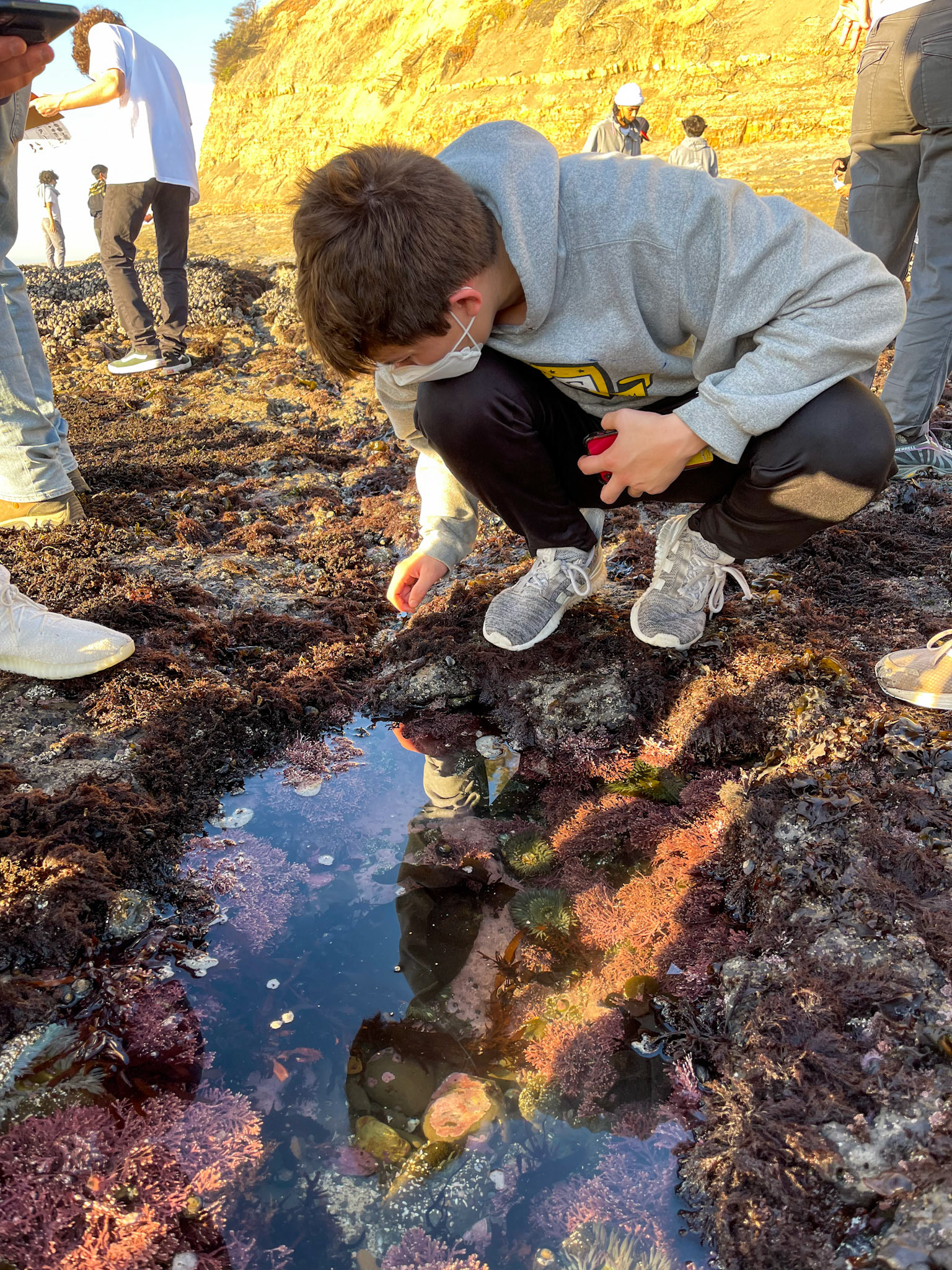 Tide Pool