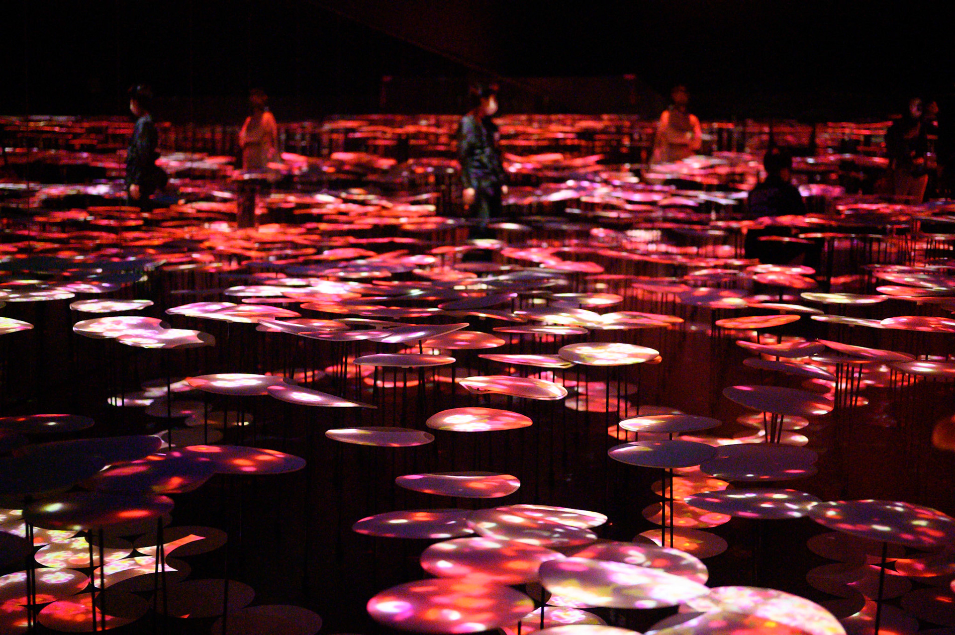 teamLab Borderless Exhibit, Tokyo, Japan