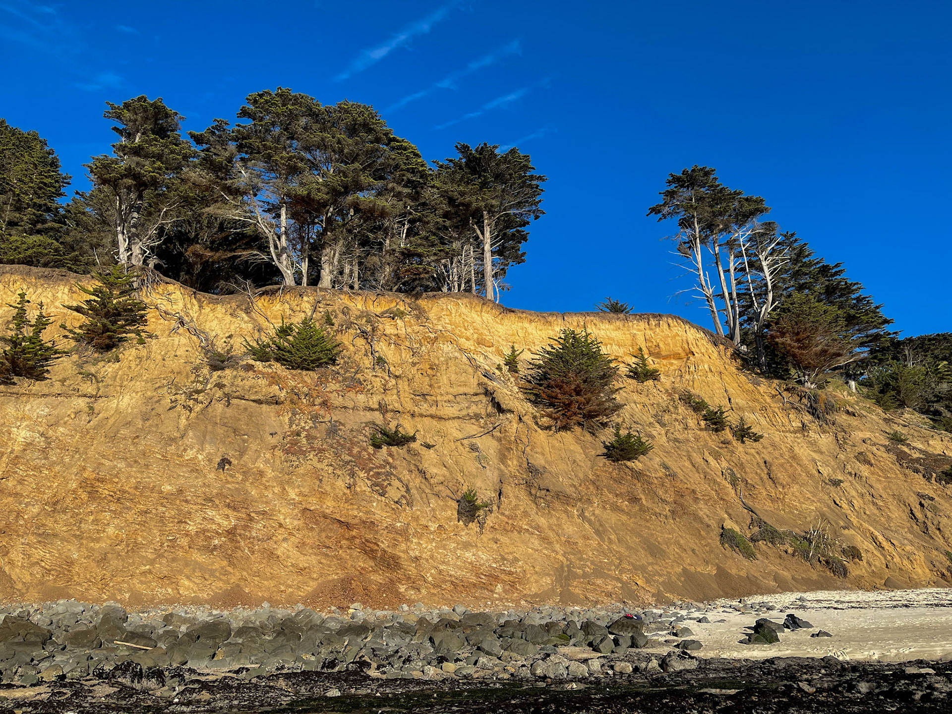 Intertidal Zone