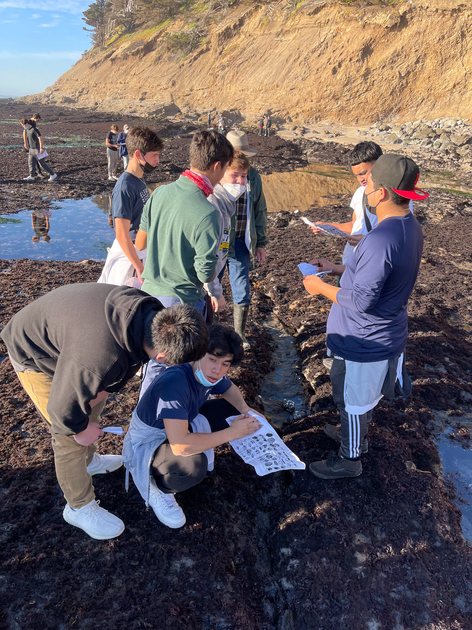 Intertidal Zone