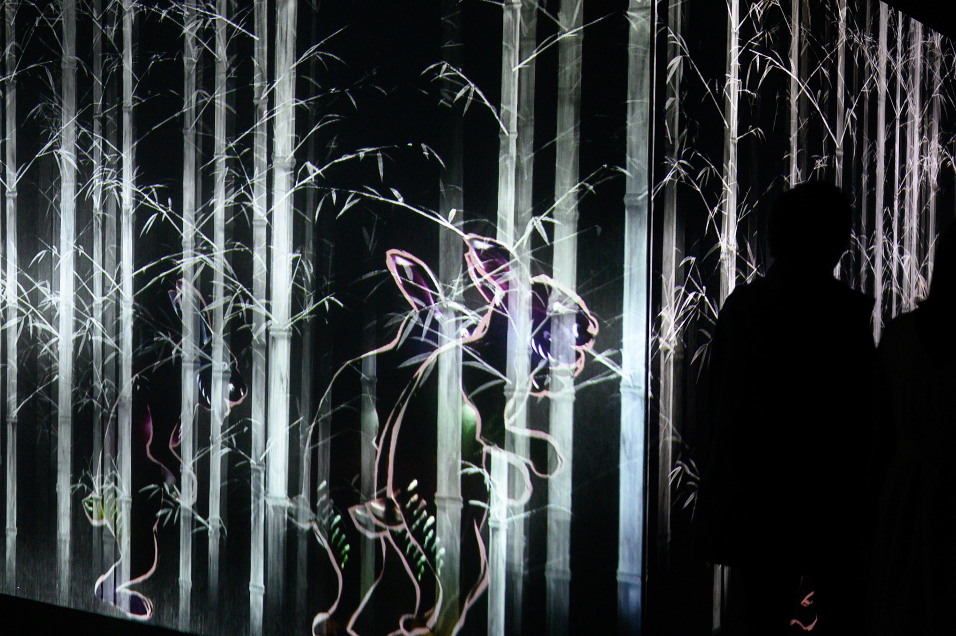 teamLab Borderless Exhibit, Tokyo, Japan