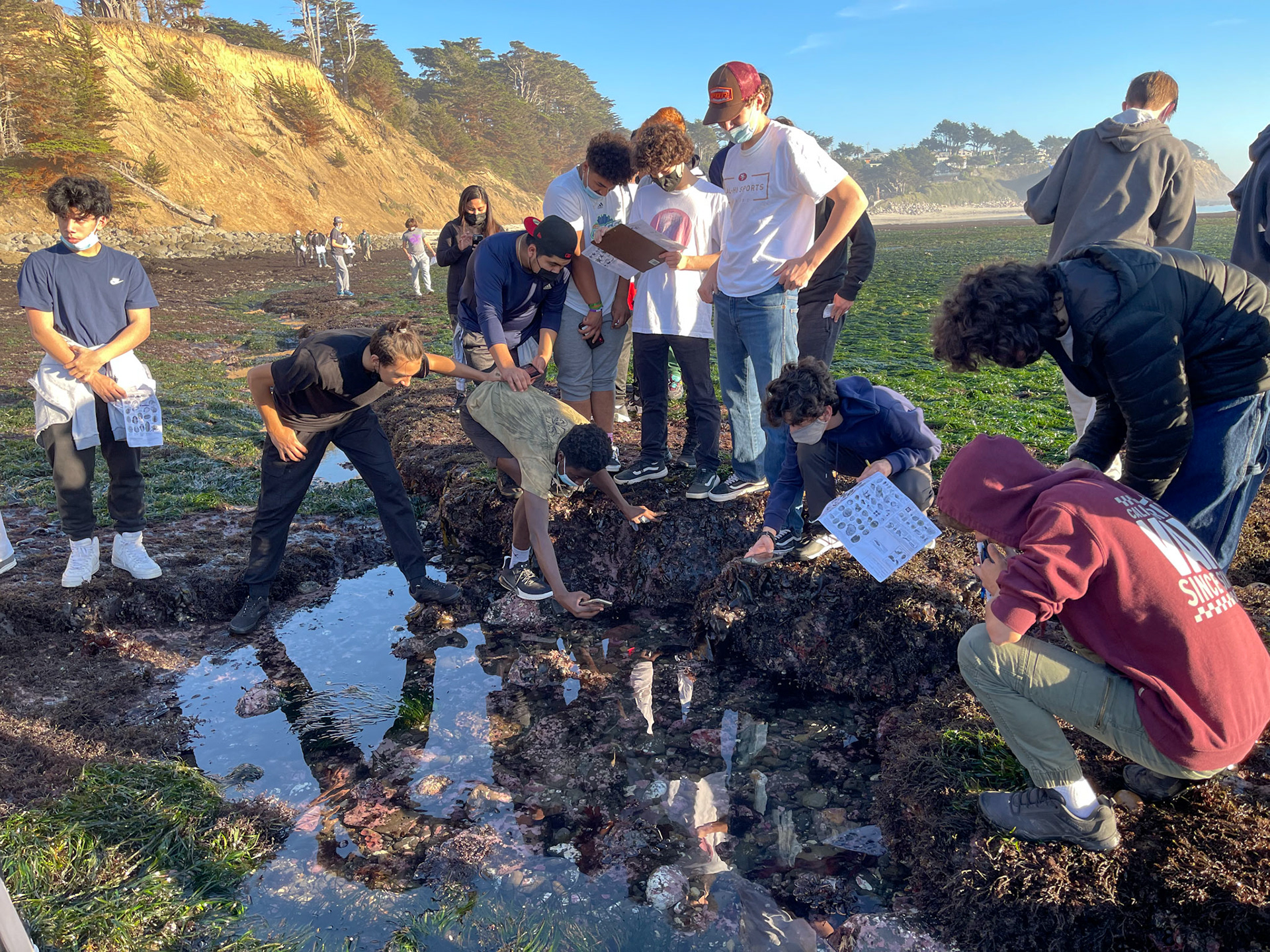 Tidepool