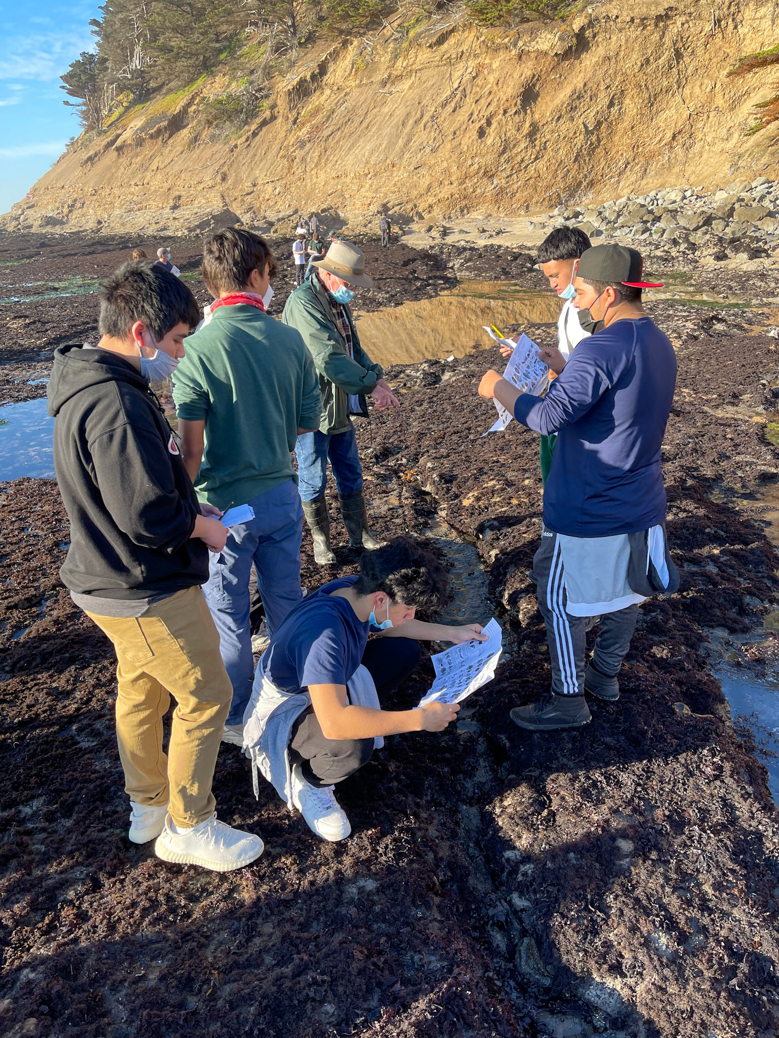Intertidal Zone