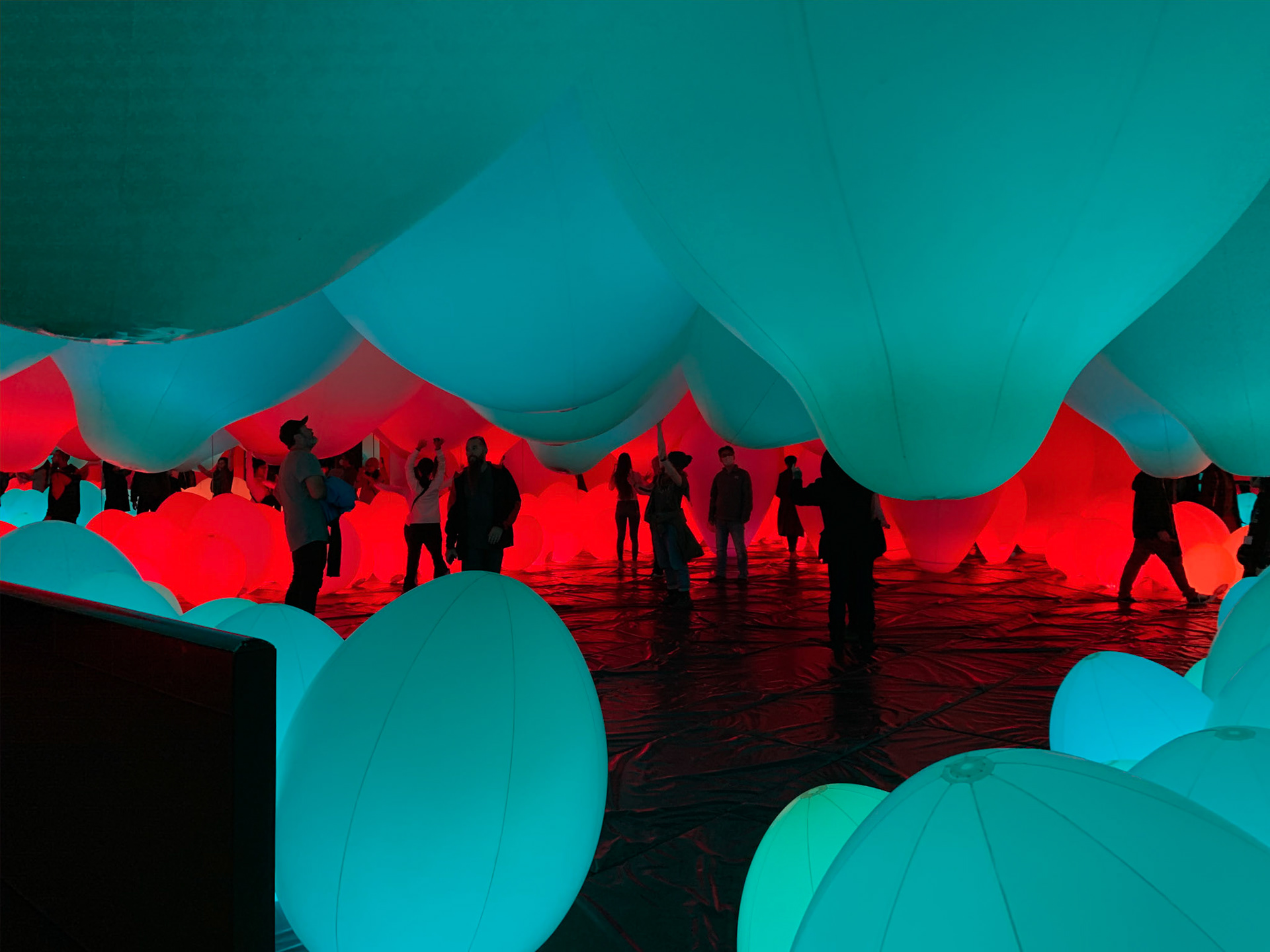 teamLab Borderless Exhibit, Tokyo
