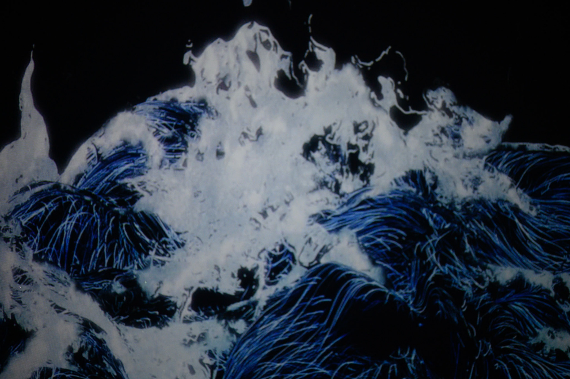teamLab Borderless Exhibit, Tokyo, Japan