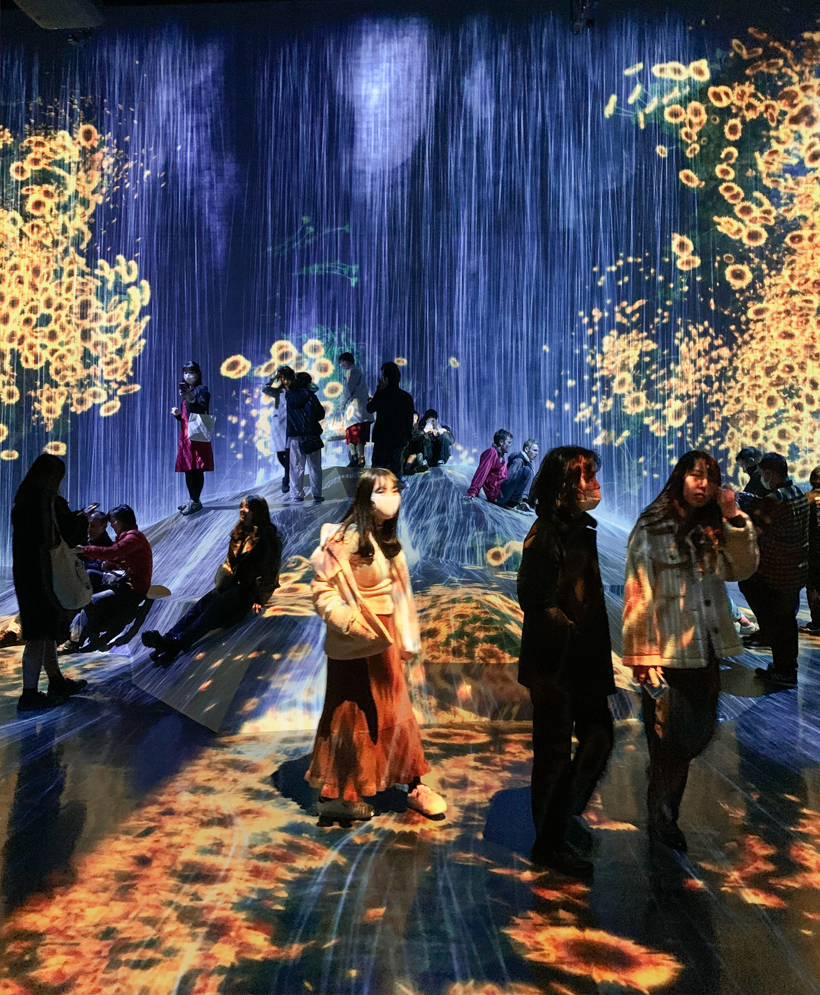 teamLab Borderless Exhibit, Tokyo