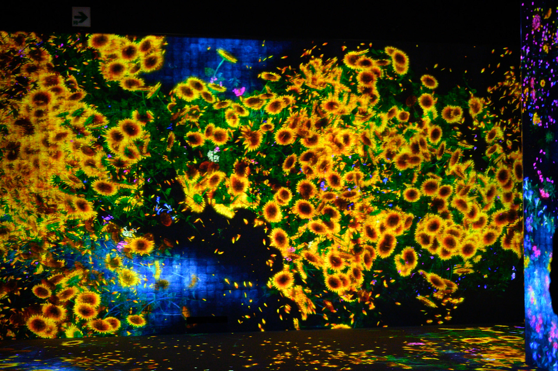 teamLab Borderless Exhibit, Tokyo, Japan