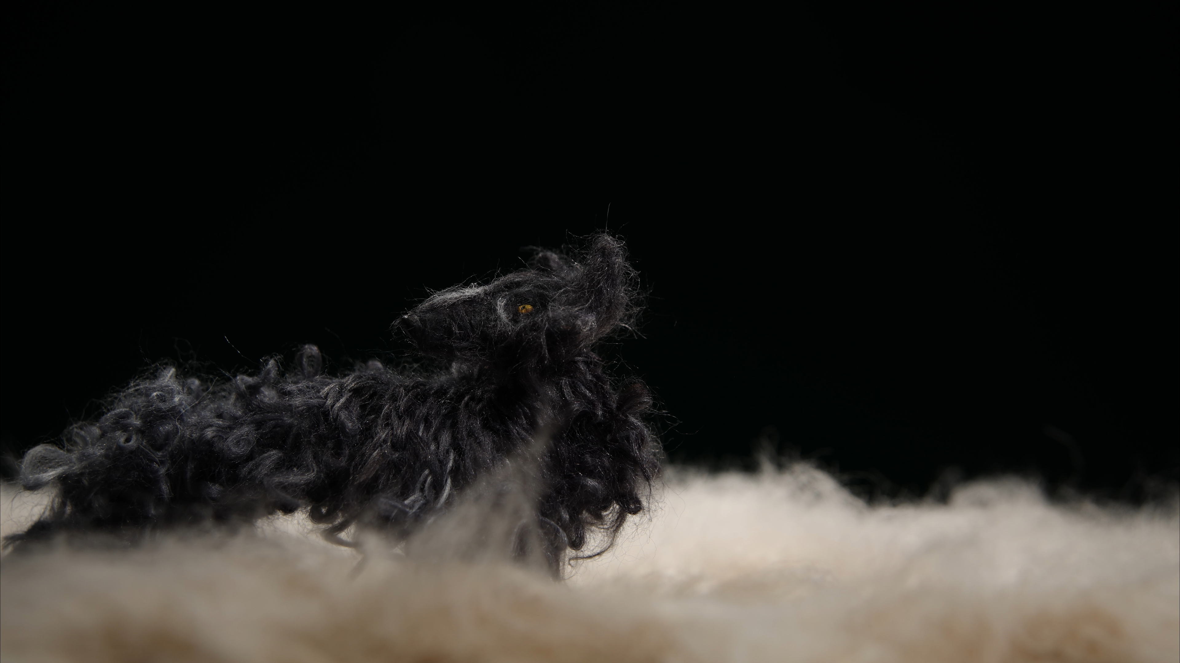 Test puppet on set