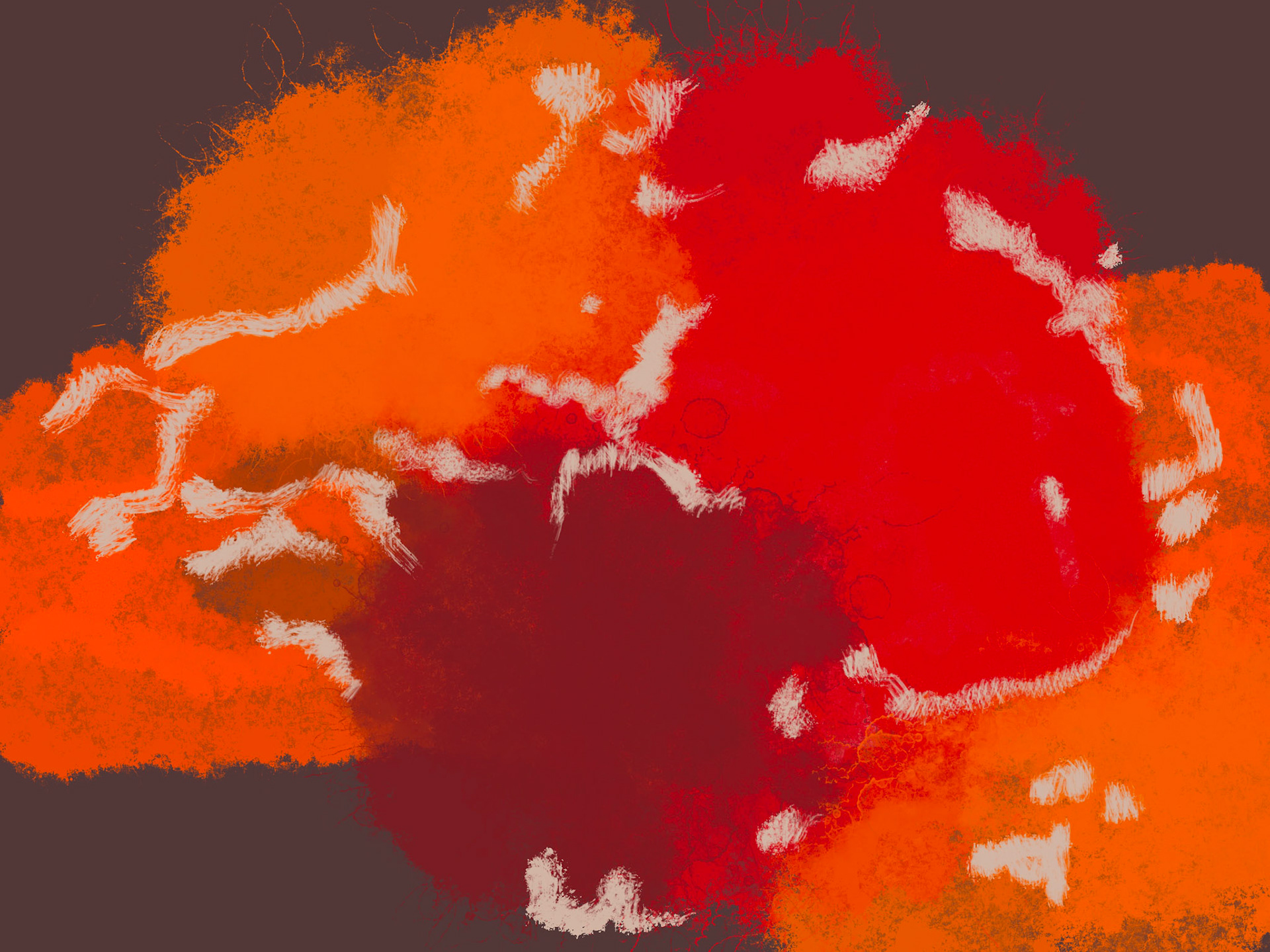 Brain