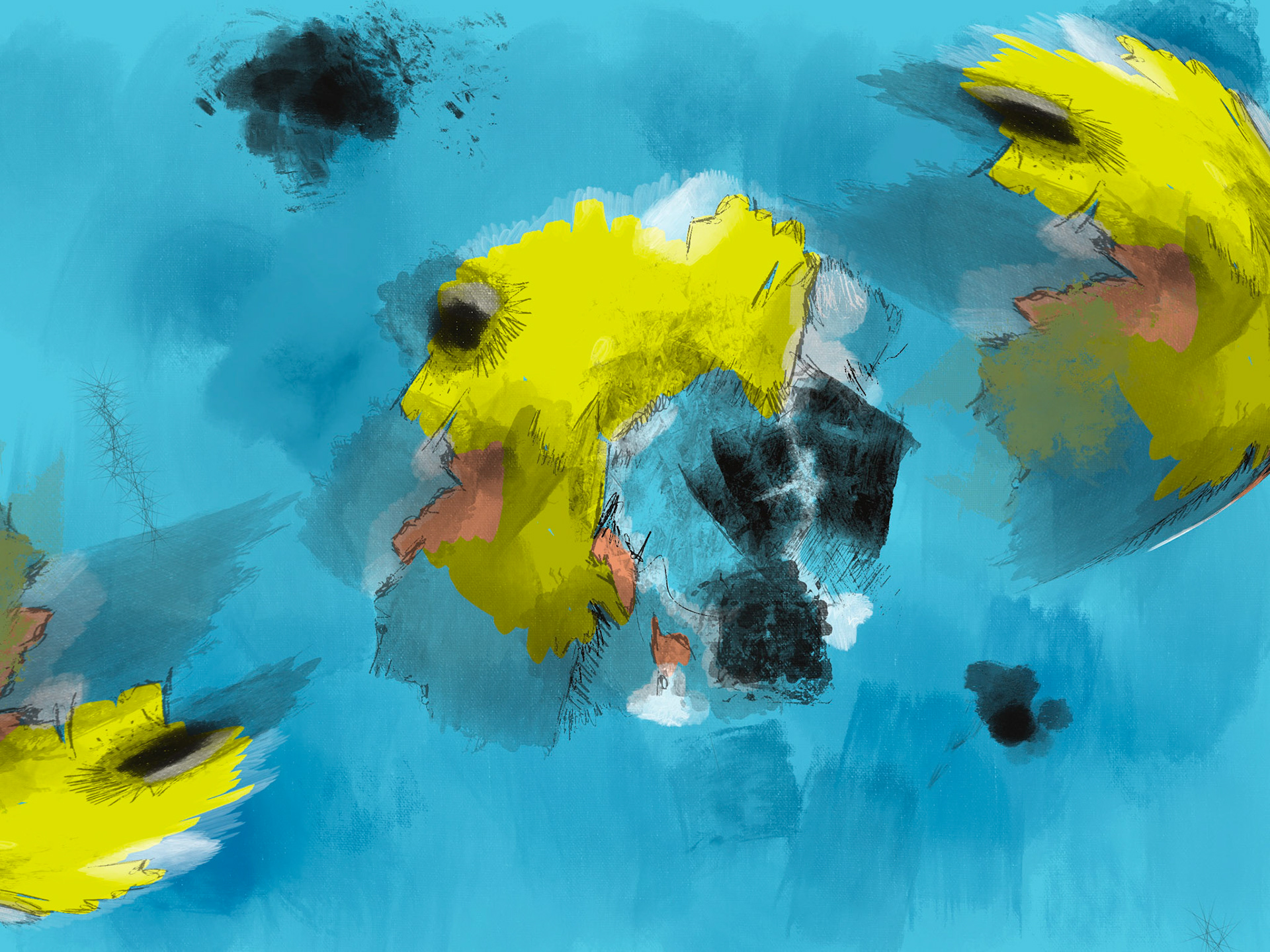 Insel