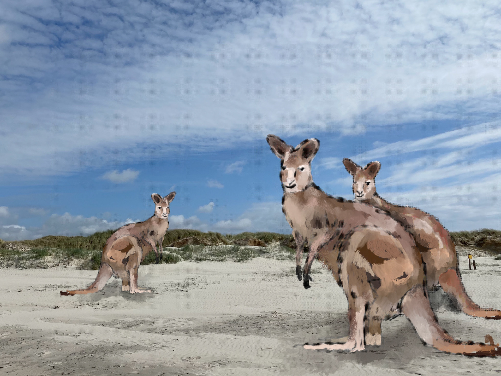 Tiere am Strand